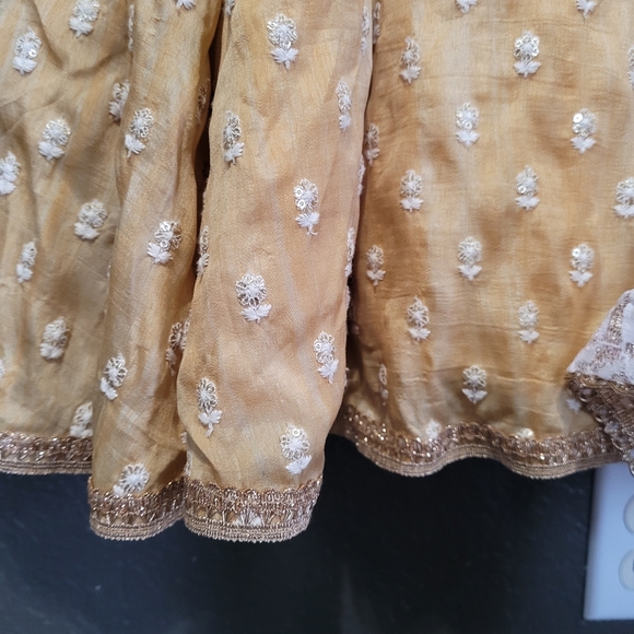 indian pakistani Anarkali gown +dupatta - Picture 3 of 9